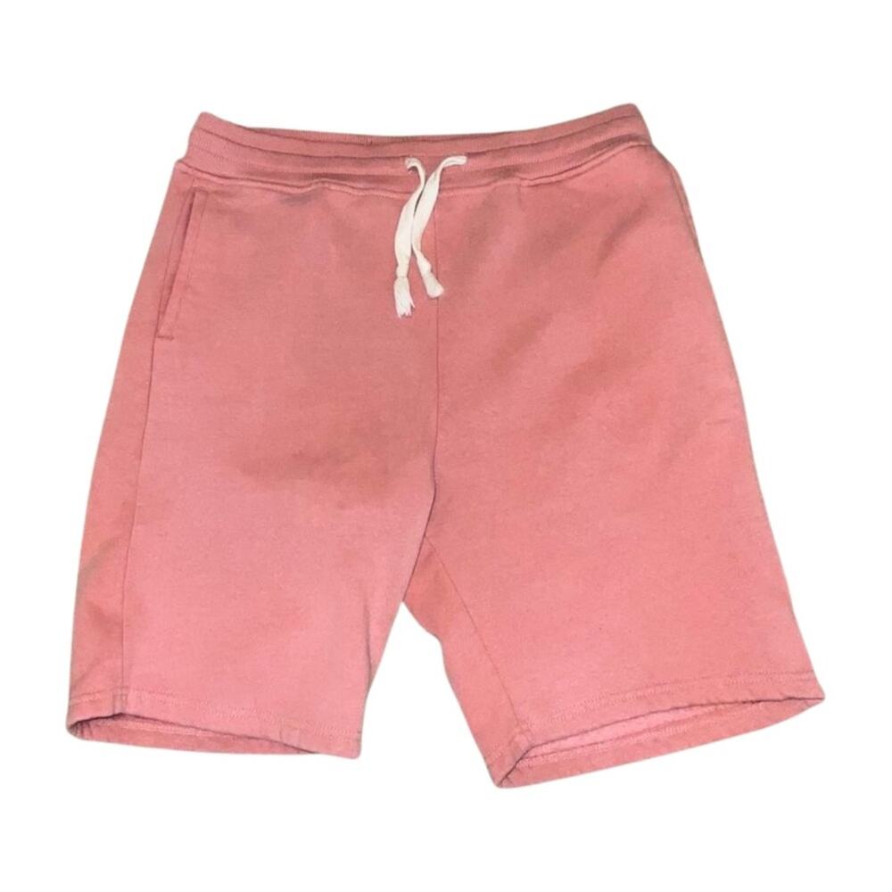 Desert Dunes Living Life Pink Shorts Size M